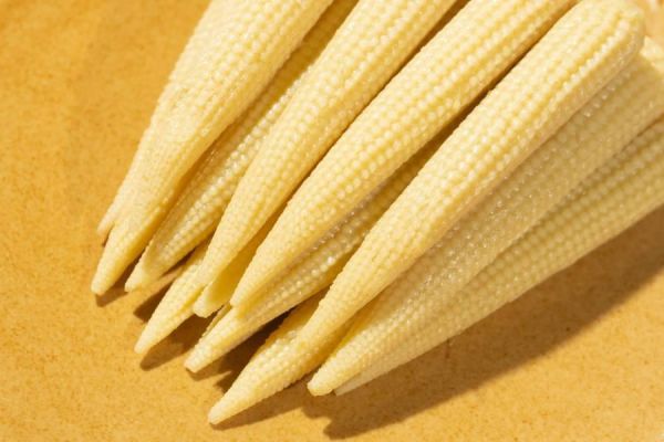 <請至下方連結處下單>有機紅鬚玉米筍即食包-15入 玉米筍,有機,宅配,烤肉,低GI,減醣,養顏美容