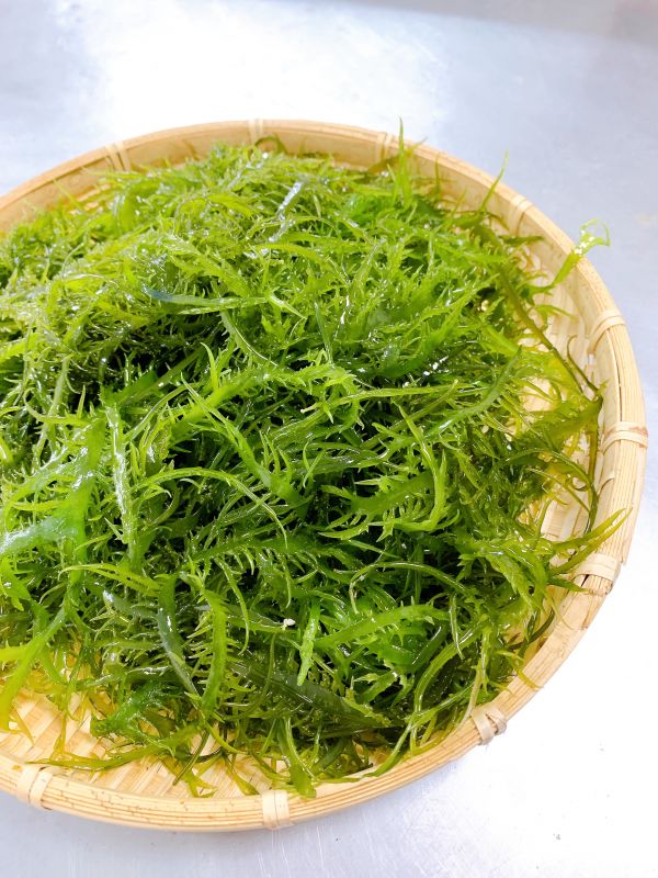 台東海菜 