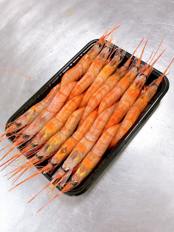 生食級甜蝦 