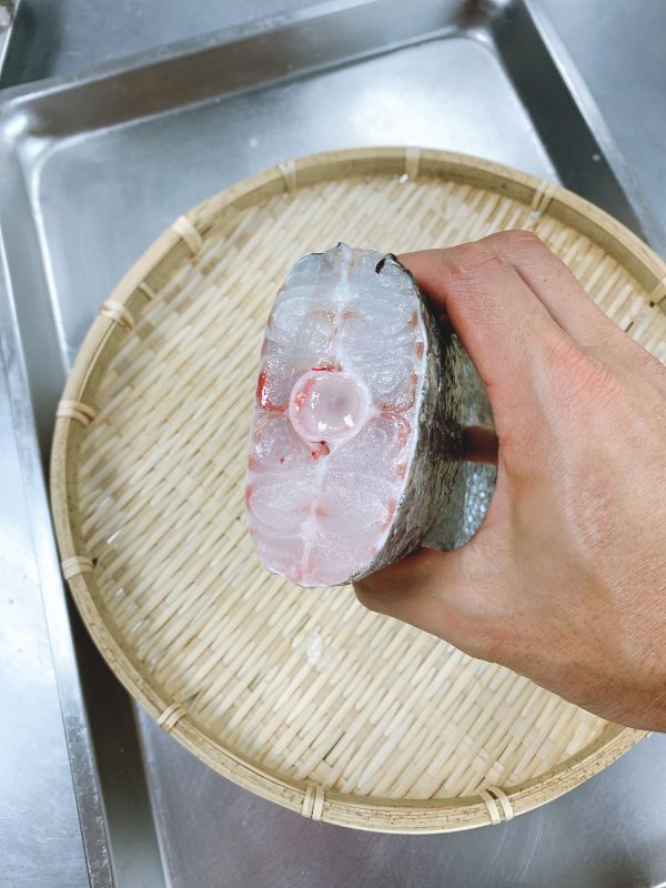 野生海鱸-（釣） 