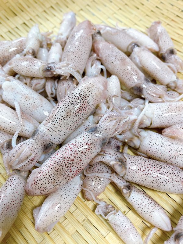熟咪卷 