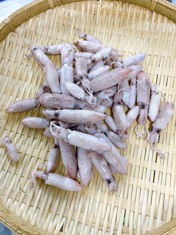 熟咪卷 