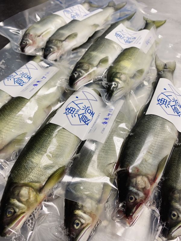 香魚(公) 