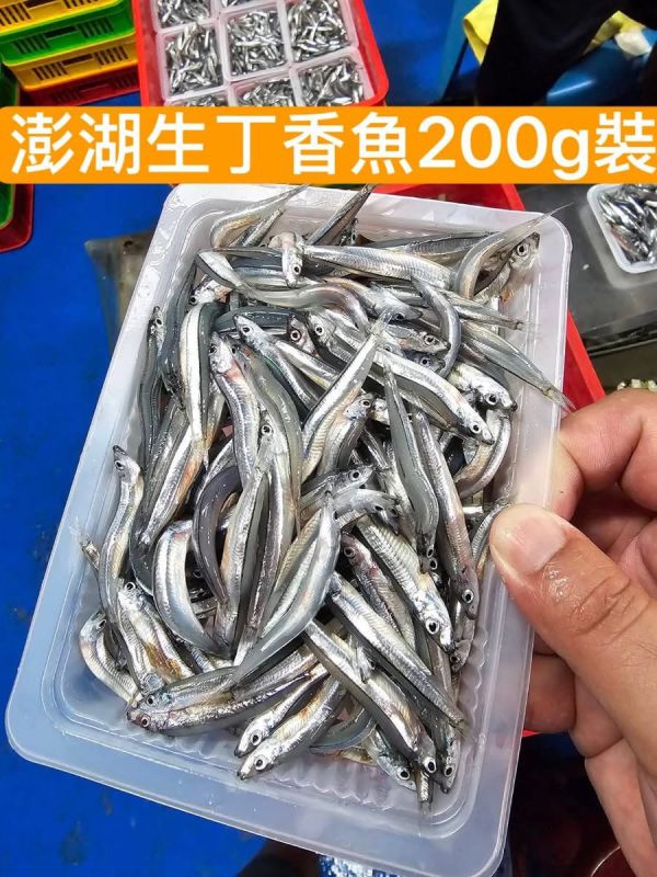 生凍丁香魚 