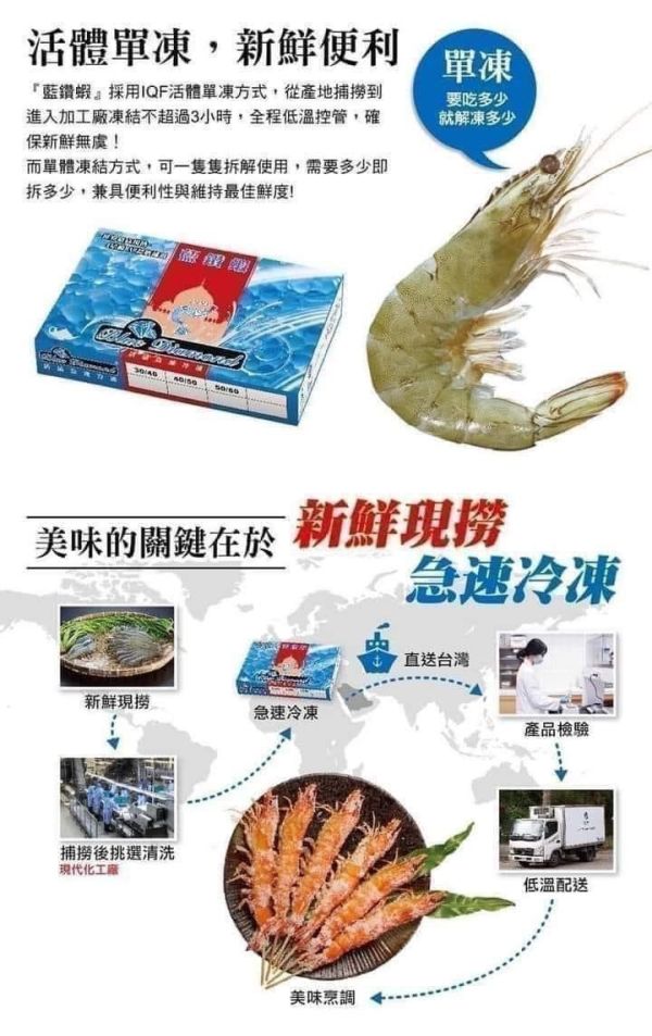 藍鑽蝦 