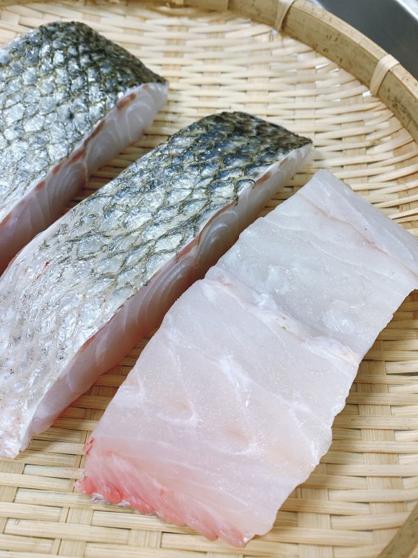 野生海鱸-（釣） 