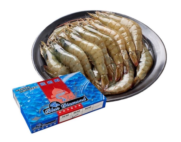 藍鑽蝦 