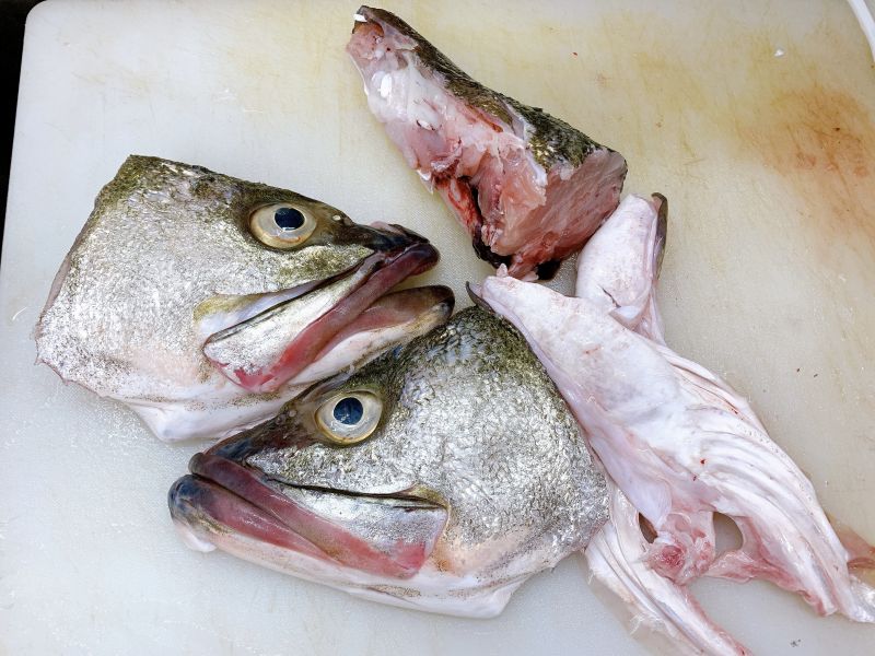 野生海鱸-（釣） 