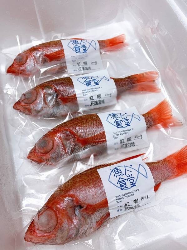 紅喉- (釣) 