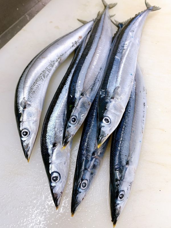 秋刀魚 