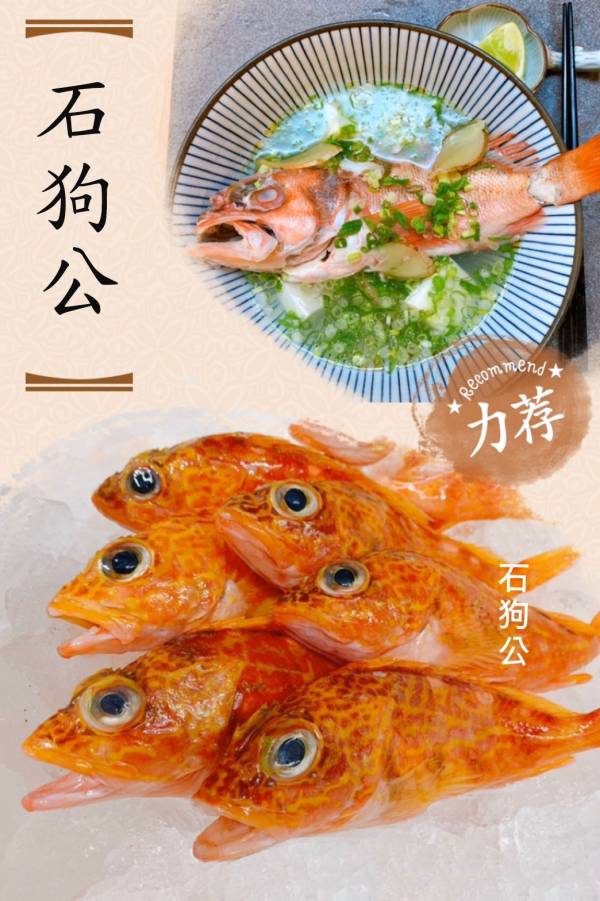 小石狗公-(釣) 