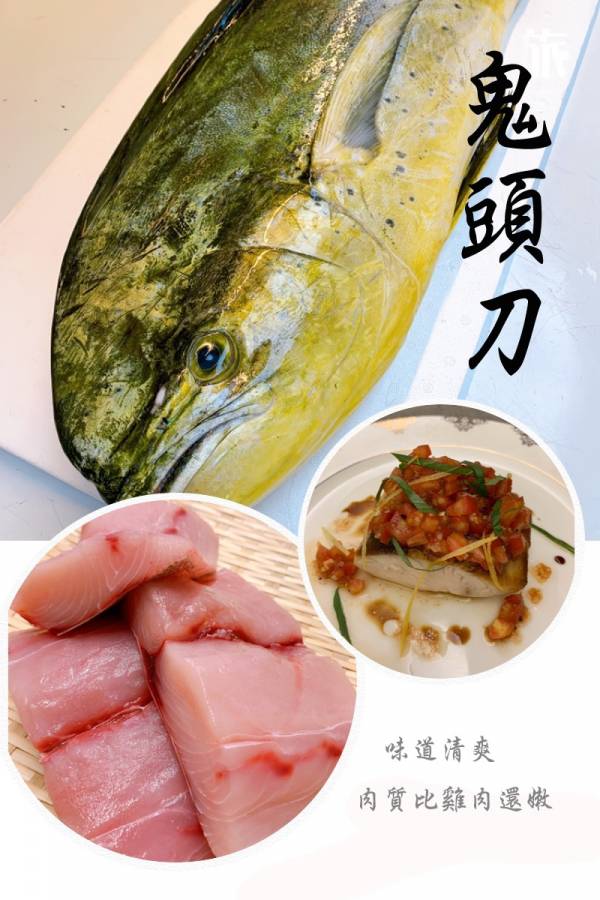 鬼頭刀魚排-（釣）無刺 