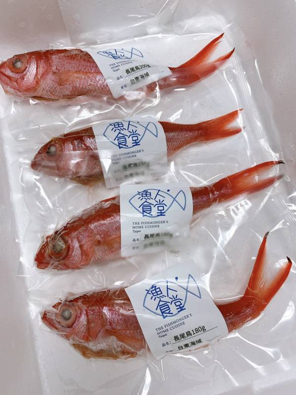 長尾鳥-（釣） 