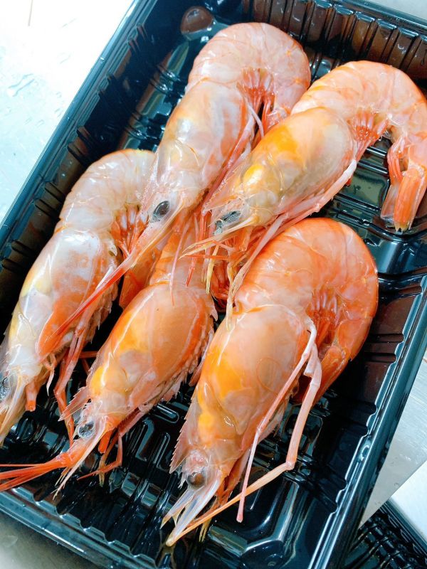 生食級甜蝦 