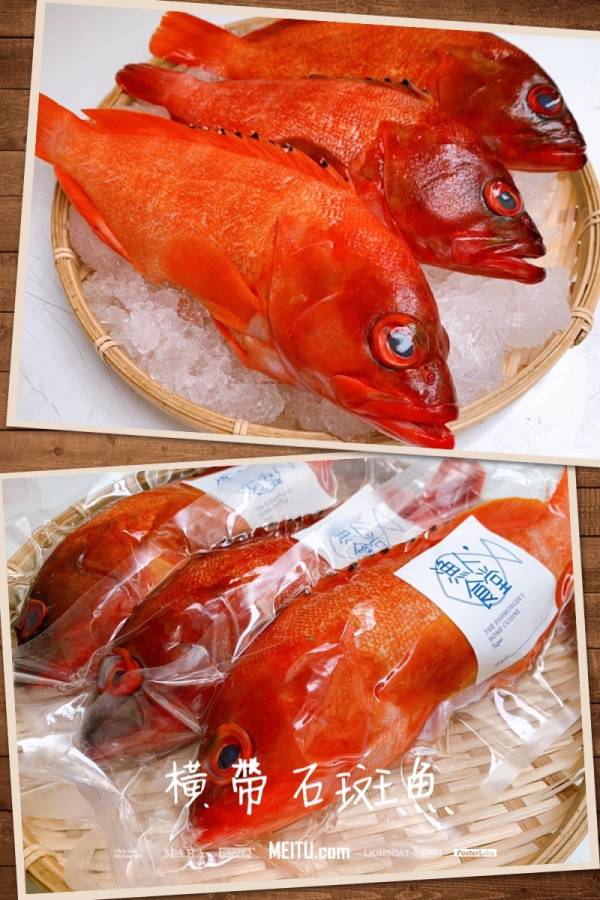 赤羽太/赤鱠 