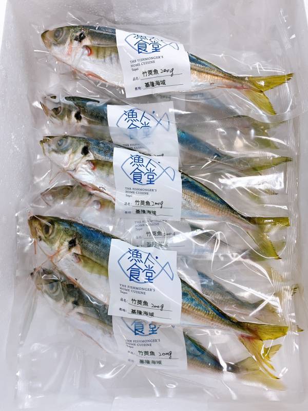竹莢魚-（釣） 