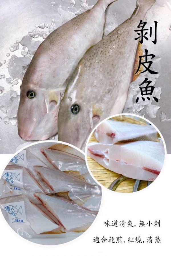 剝皮魚-(釣） 