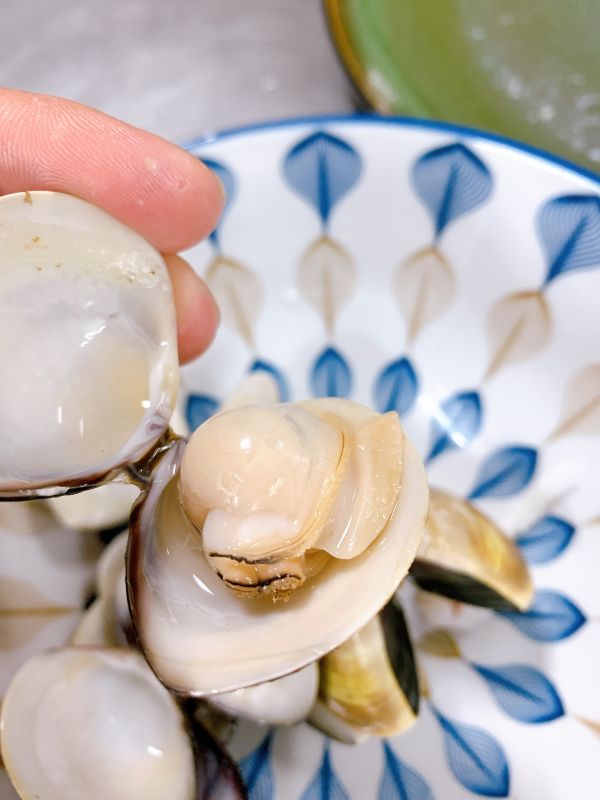 蛤蠣- 