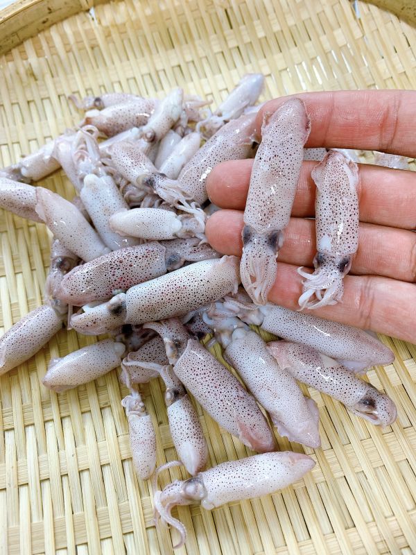 熟咪卷 