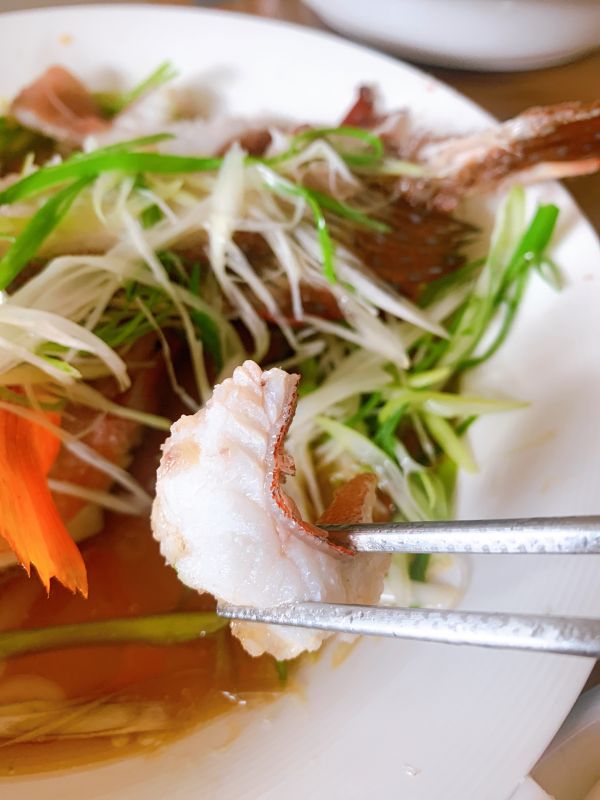 紅點珠鱠-（釣 