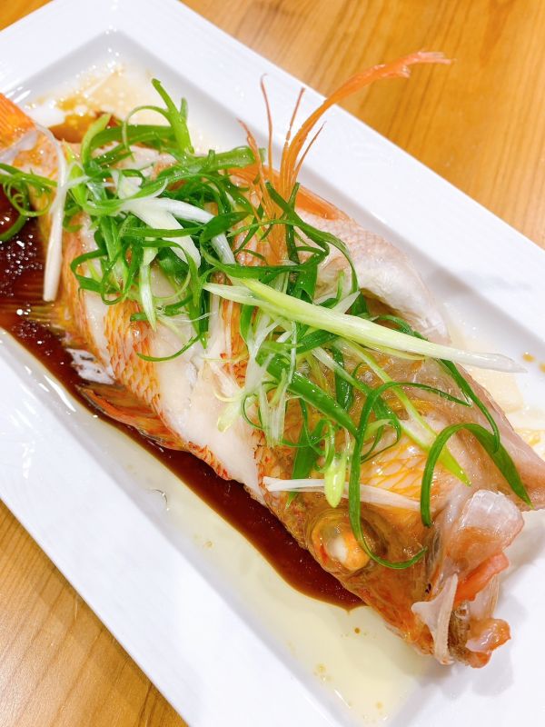 黃吻花鱸(釣) 