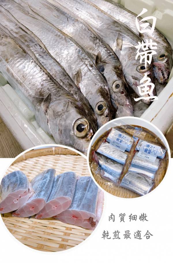 白帶魚- (釣) 