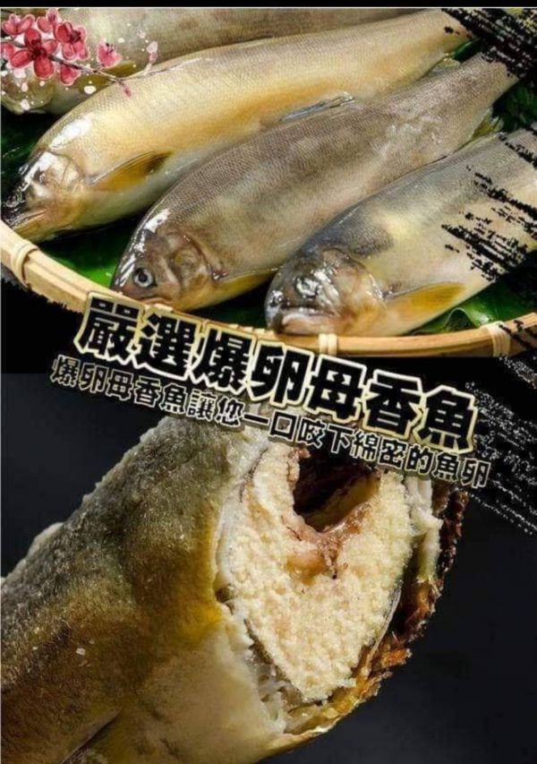 爆卵母香魚- 