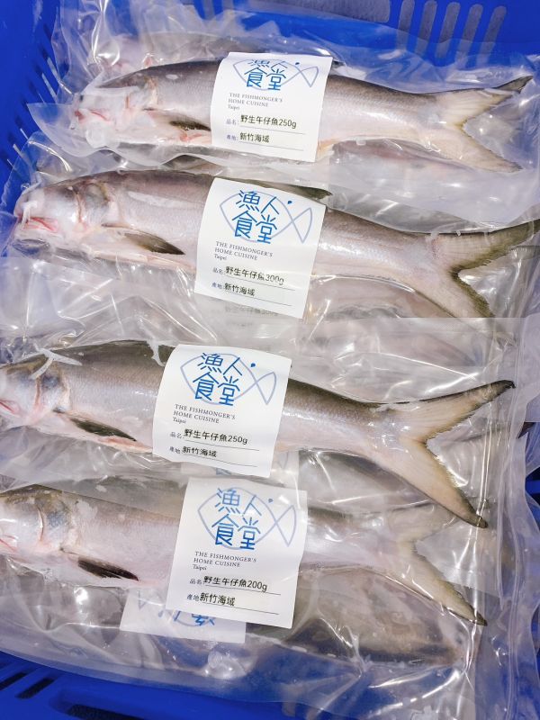 野生午仔魚-(釣) 