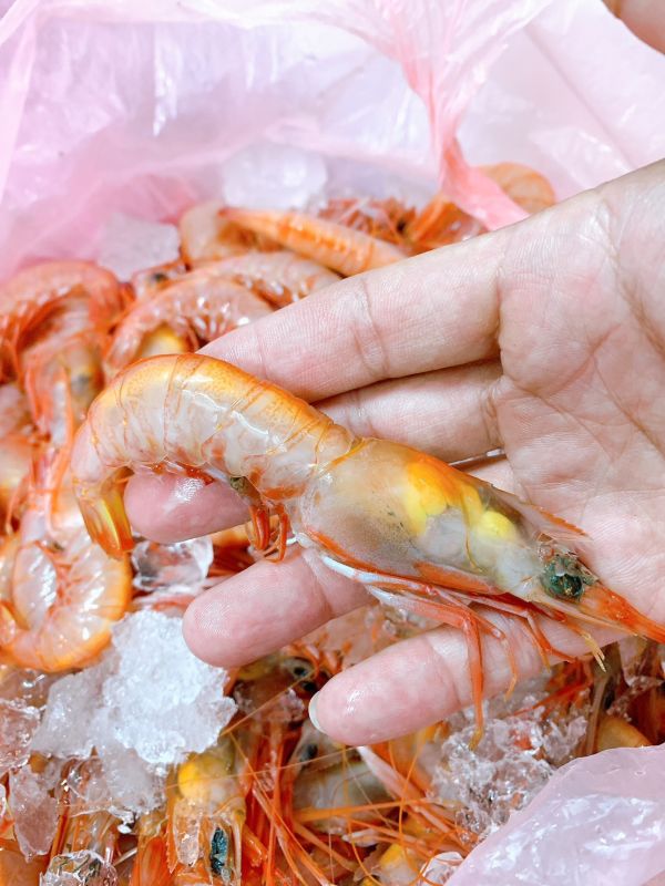 生食級甜蝦 