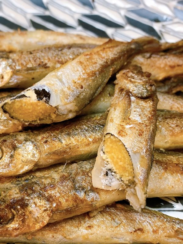 帶卵柳葉魚 