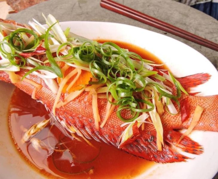紅點珠鱠-（釣 
