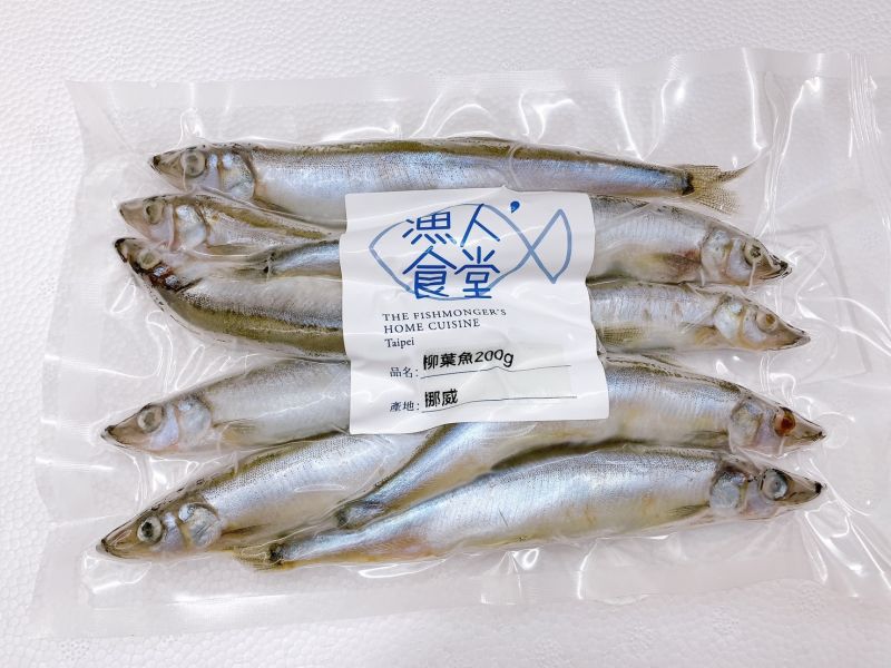 帶卵柳葉魚 