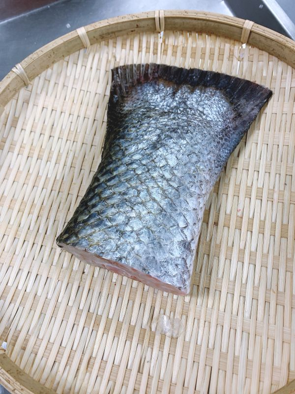 野生海鱸-（釣） 