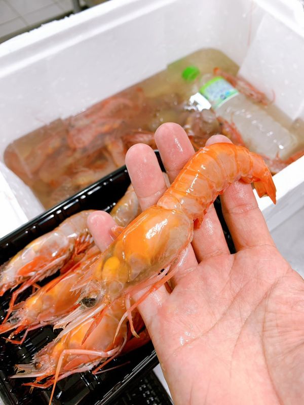 生食級甜蝦 