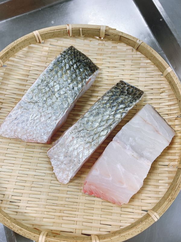 野生海鱸-（釣） 