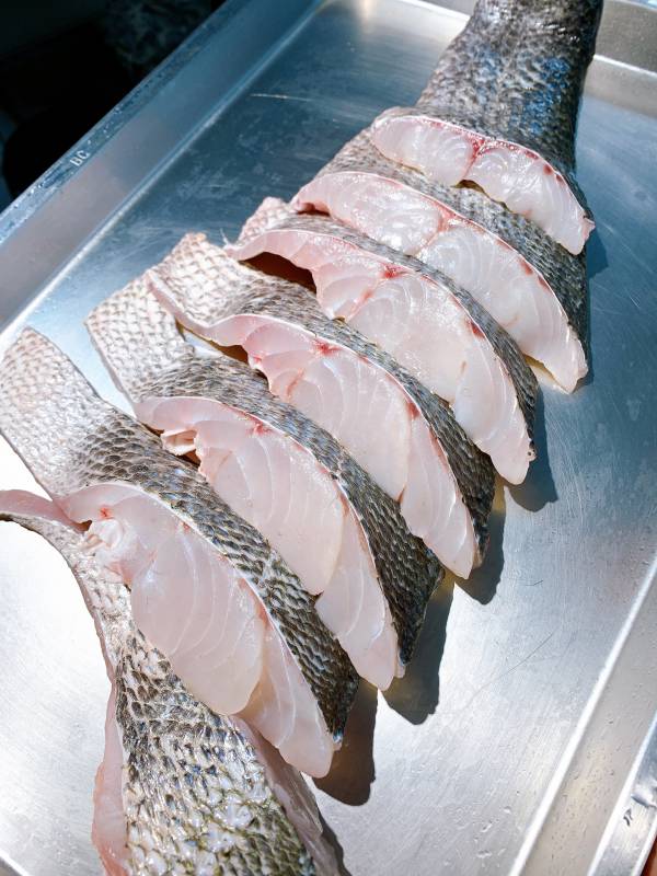 野生海鱸-（釣） 