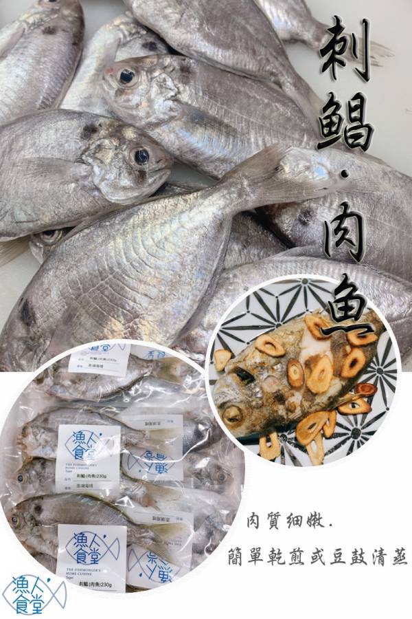 野生刺鯧（肉鯽仔、肉魚）- 
