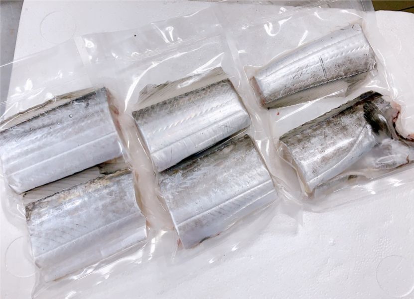 白帶魚- (釣) 