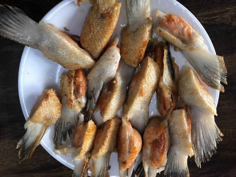 鮭魚腹鰭 