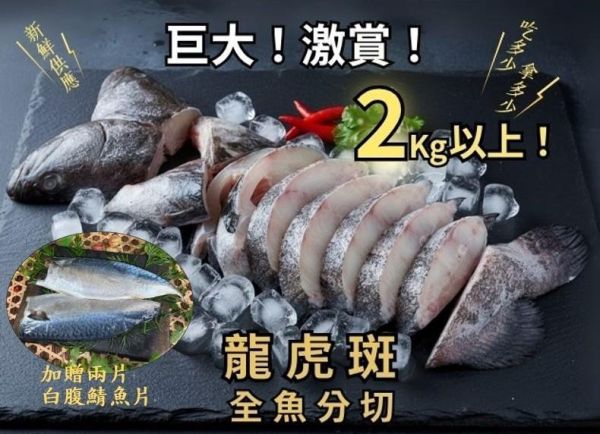 龍虎石斑魚(輪切) 