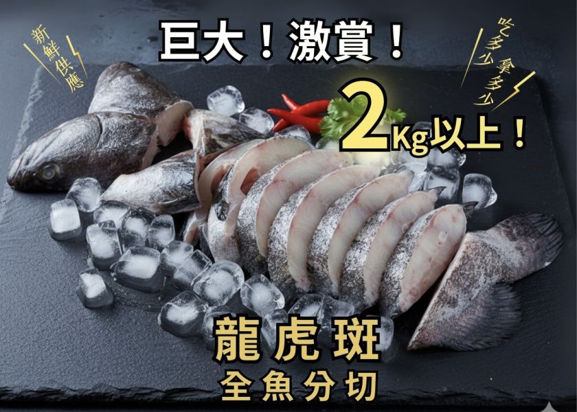龍虎斑石斑魚 