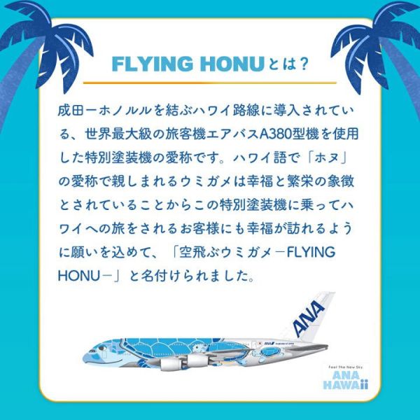 **預購** ANA 青組海龜機造型水果軟糖 