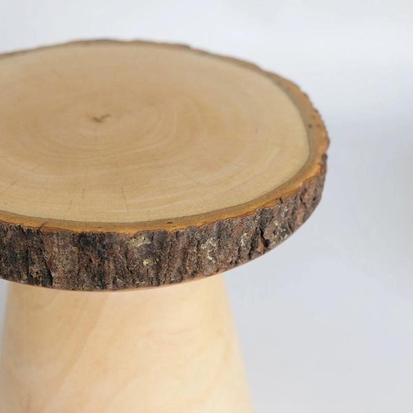 Stem 芒果木樹樁展示架 