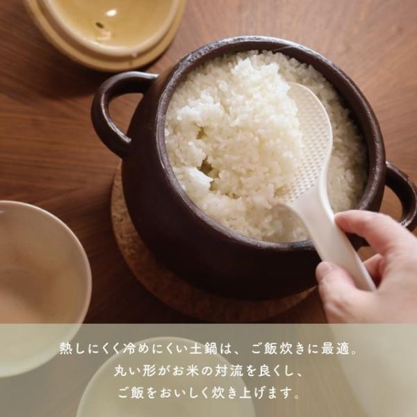 CDF 萬古燒橡果造型炊飯土鍋3合 