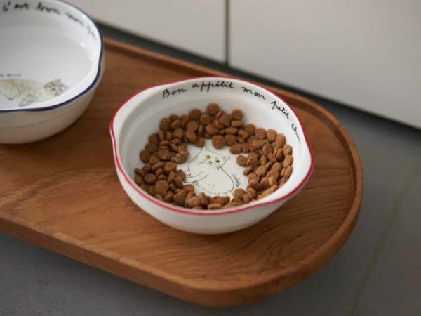 isabelle boinot × orneko貓咪陶瓷手柄深型圓碗 