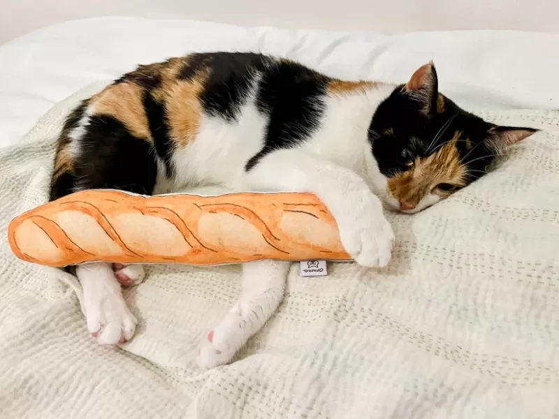 isabelle boinot x orneko紅蘿蔔寵物玩偶 