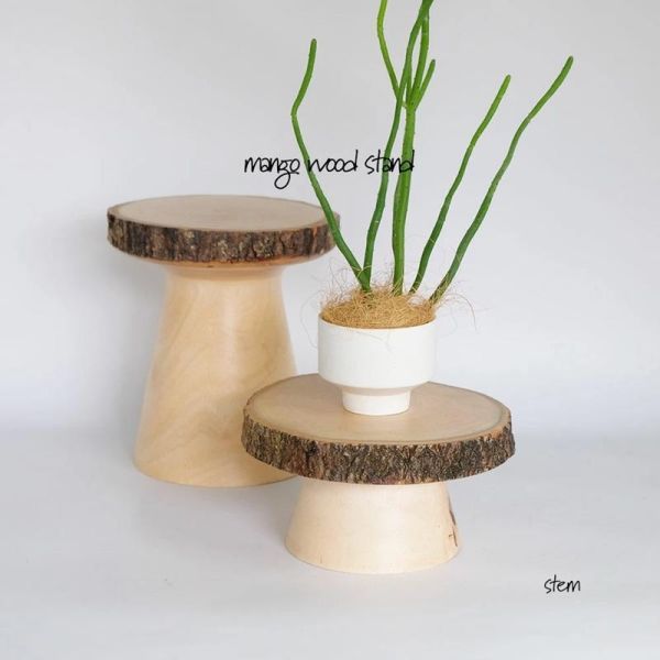 Stem 芒果木樹樁展示架 