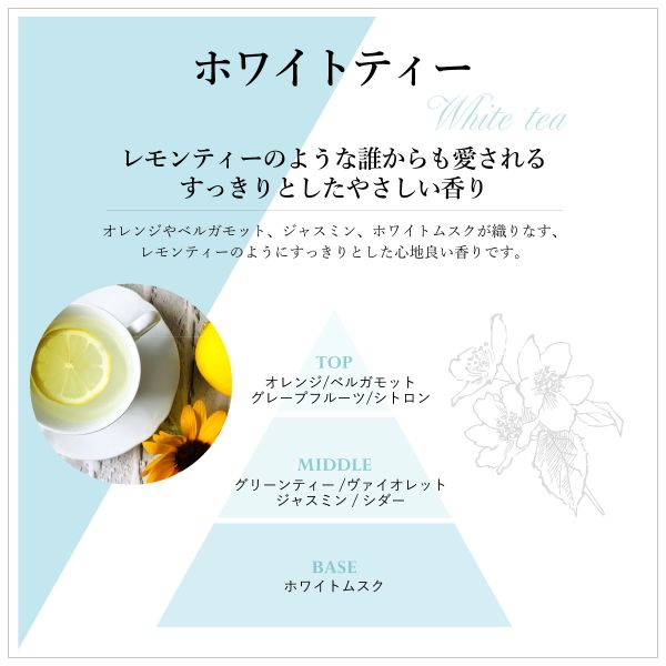 SB普羅旺斯 白茶香氛保濕洗手液250ml 