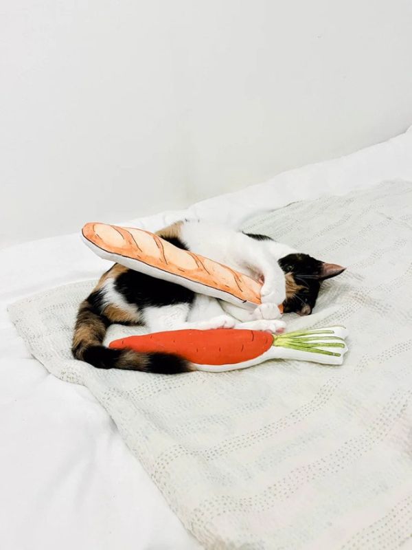 isabelle boinot x orneko紅蘿蔔寵物玩偶 