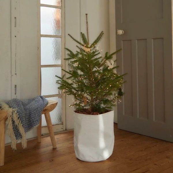 shesay 樹枝狀聖誕LE0D燈串1.5M 